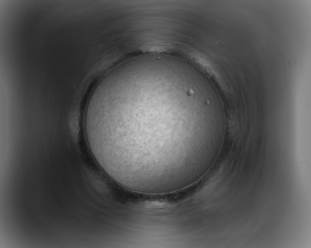 X0000088060586200705251344