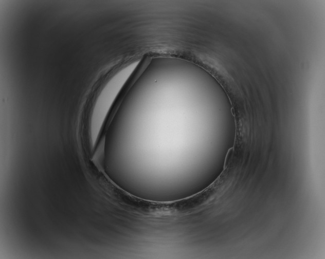 X0000088060587200705251344