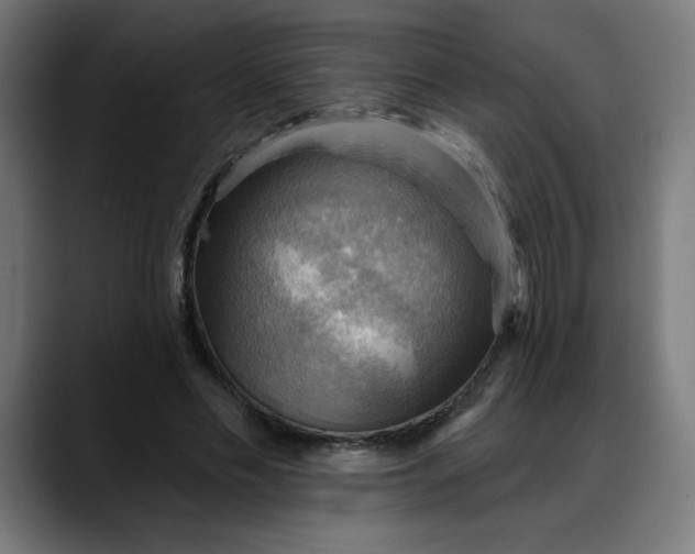 X0000088060589200705251344