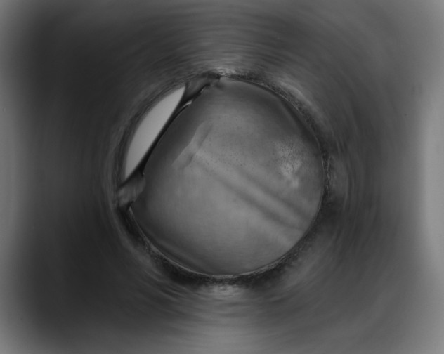 X0000088060590200705251344
