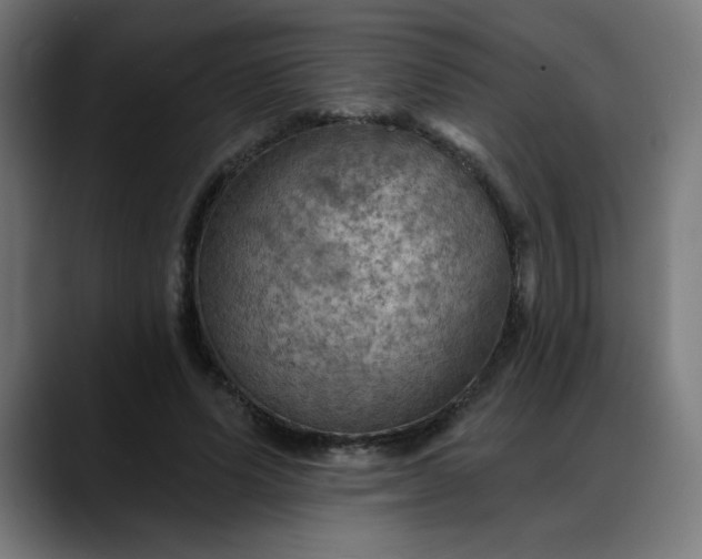 X0000088060591200705251344