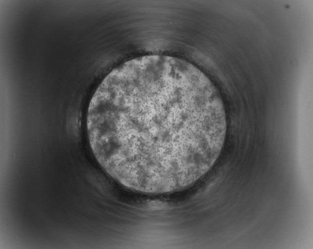 X0000088060592200705251344