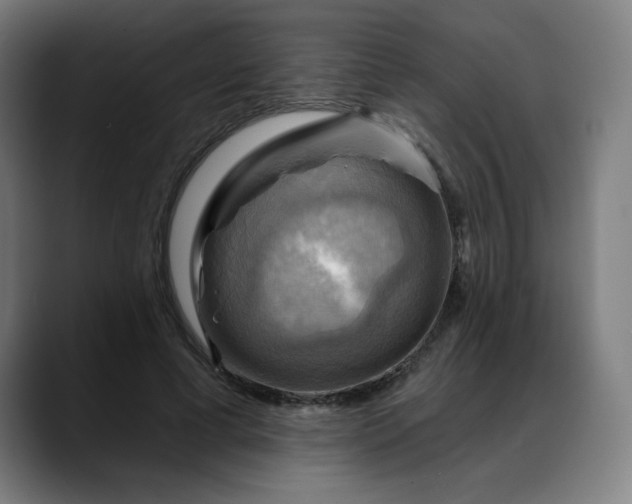 X0000088060593200705251344