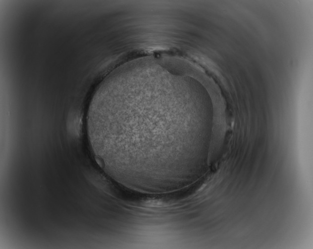X0000088060596200705251344