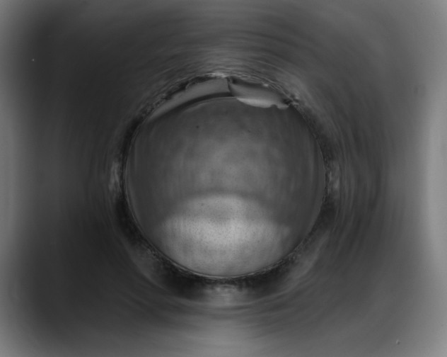 X0000088060598200705251344