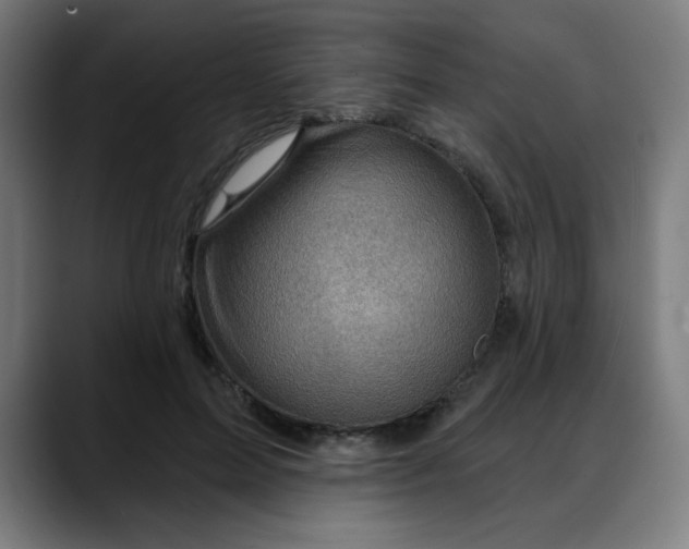 X0000088060599200705251344