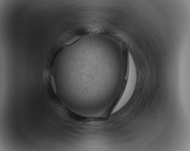 X0000088060601200705251344