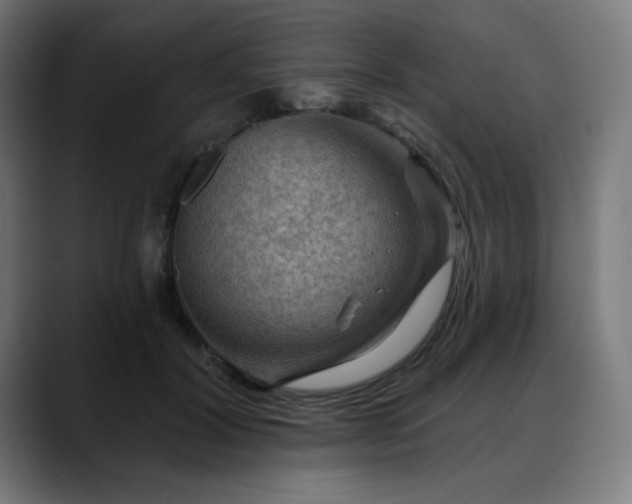 X0000088060604200705251344