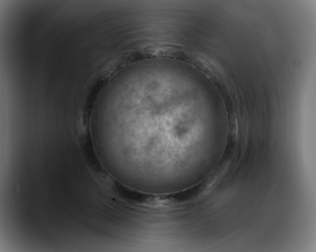 X0000088060607200705251344