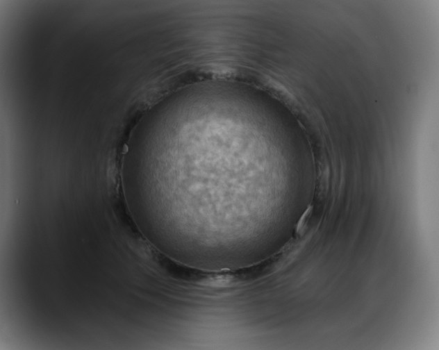 X0000088060609200705251344