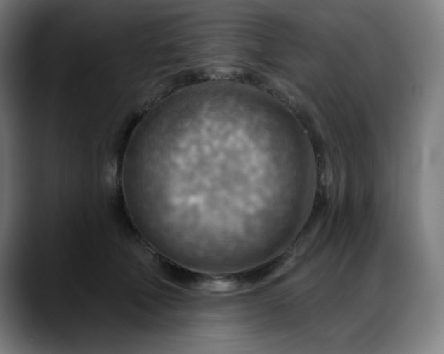 X0000088060610200705251344