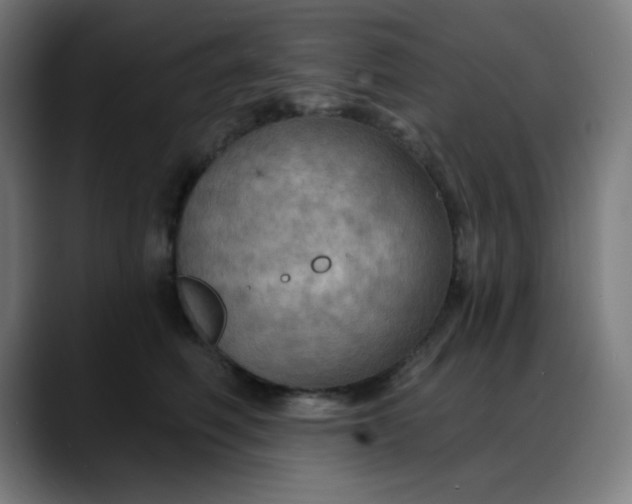 X0000088060614200705251344