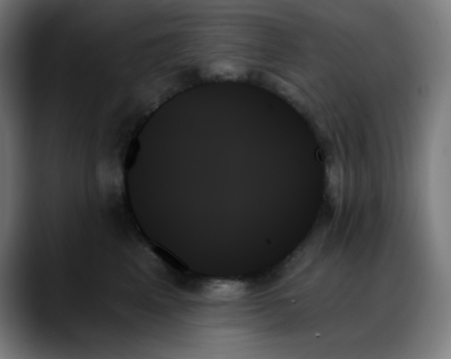X0000088060617200705251344