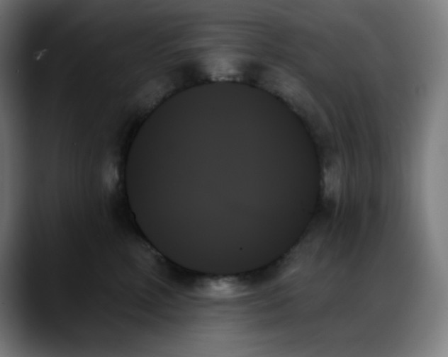 X0000088060618200705251344