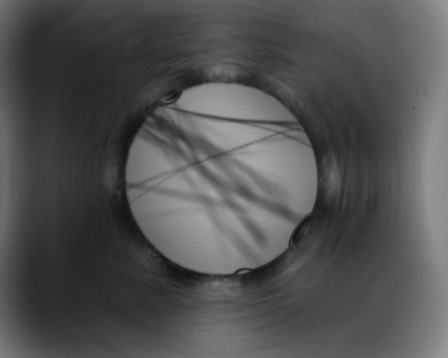 X0000088060619200705251344