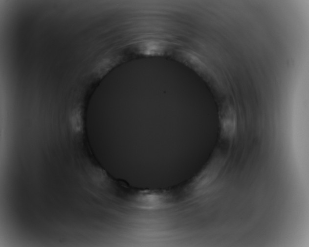 X0000088060620200705251343