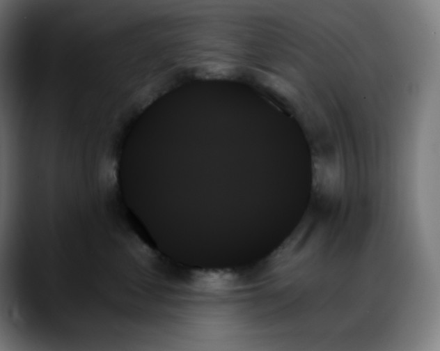 X0000088060621200705251343