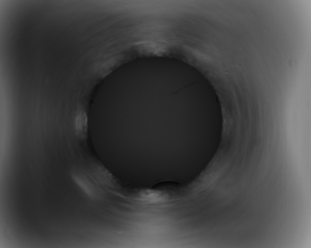 X0000088060624200705251343