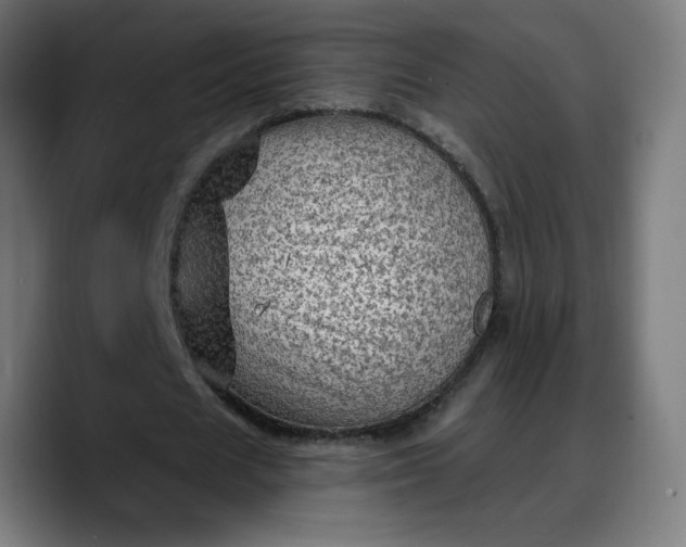 X0000088060625200705251343