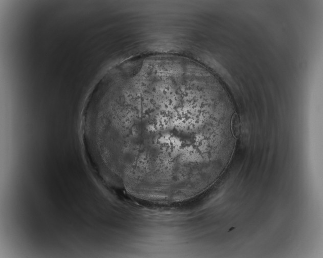 X0000088060626200705251343