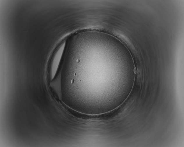 X0000088060628200705251343