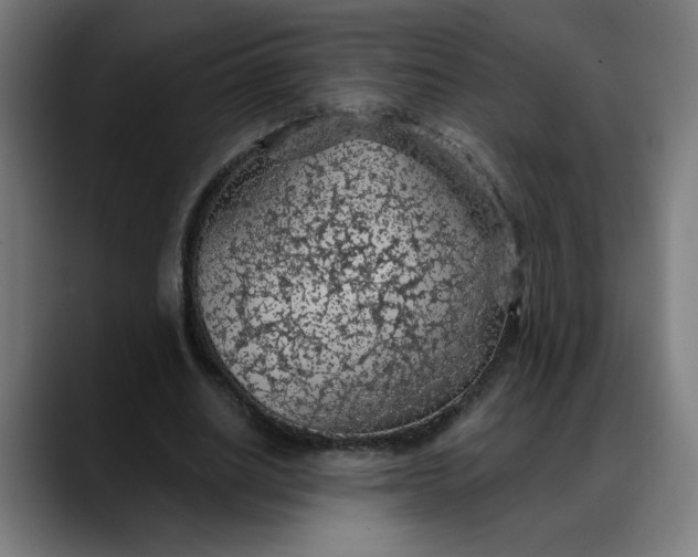 X0000088060630200705251343