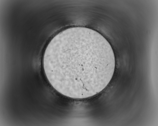 X0000088060632200705251343