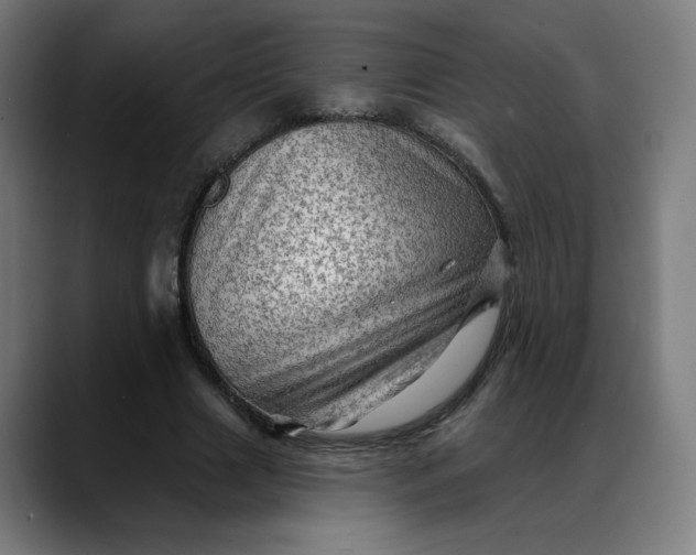 X0000088060633200705251343