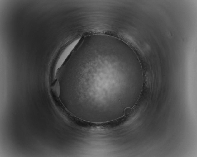X0000088060634200705251343