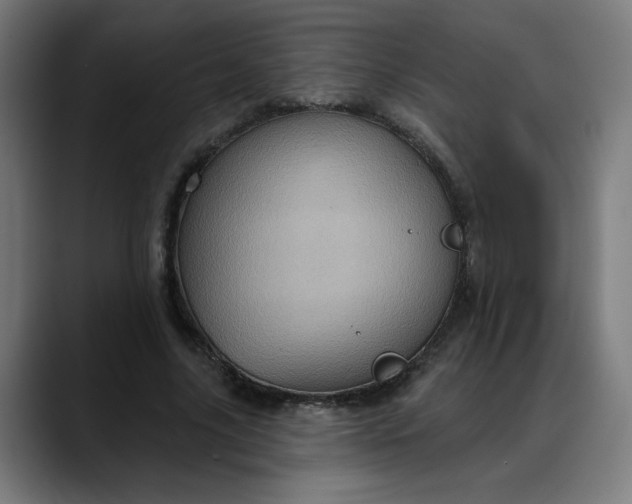 X0000088060635200705251343