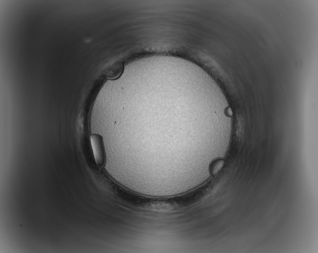 X0000088060636200705251343