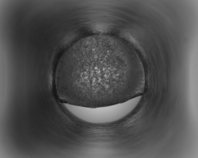 X0000088060637200705251343