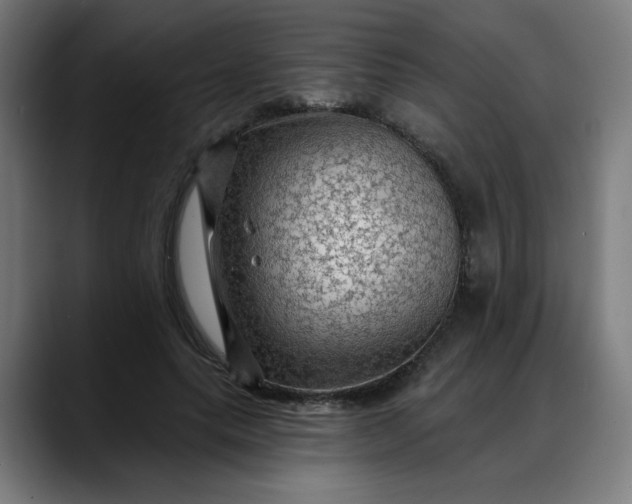 X0000088060639200705251343