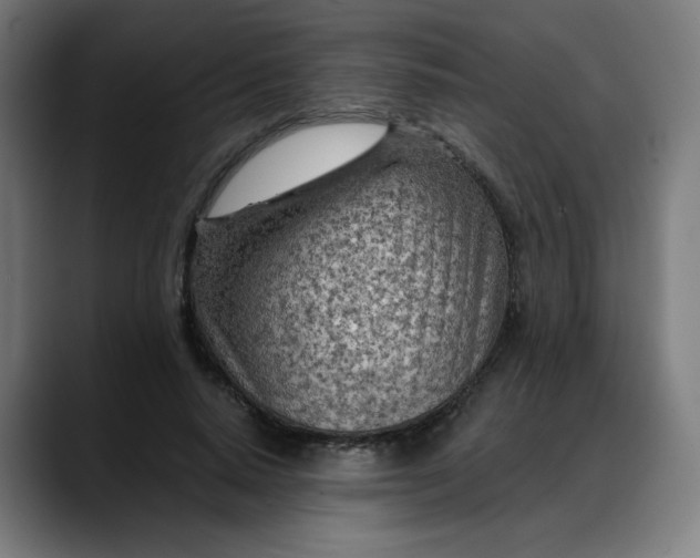 X0000088060640200705251343