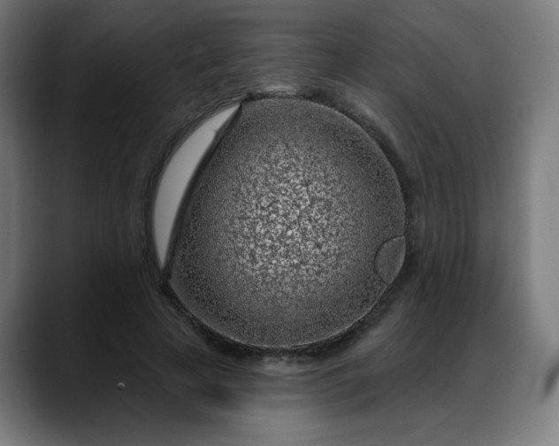 X0000088060641200705251343