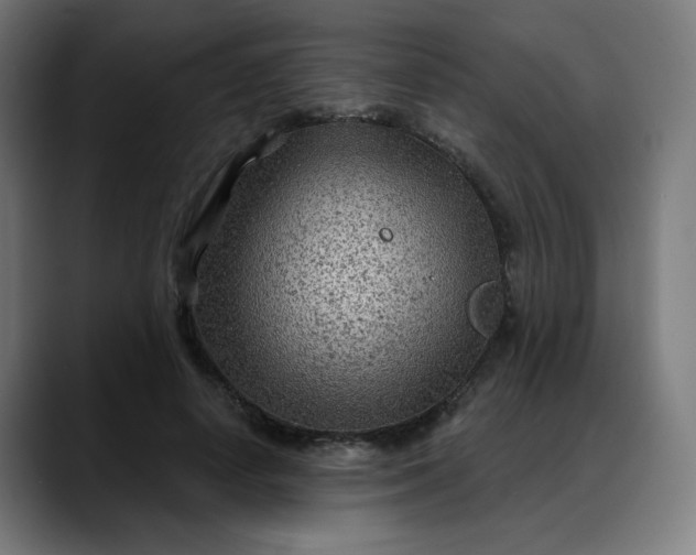 X0000088060642200705251343