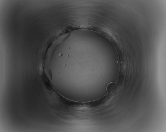 X0000088060643200705251343
