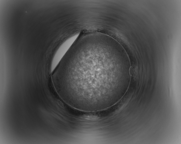 X0000088060644200705251343
