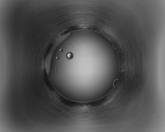 X0000088060646200705251343