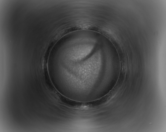 X0000088060647200705251343