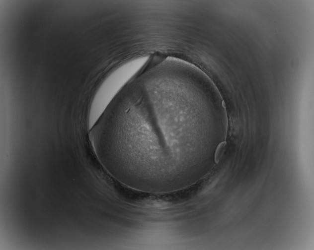 X0000088060648200705251343