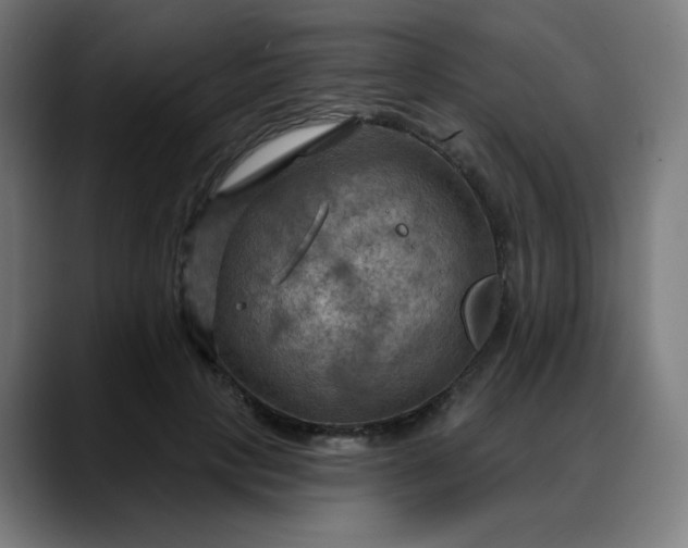 X0000088060649200705251343