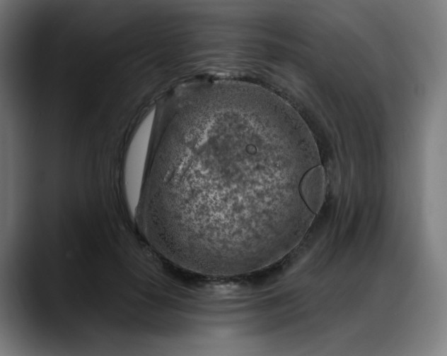 X0000088060650200705251343