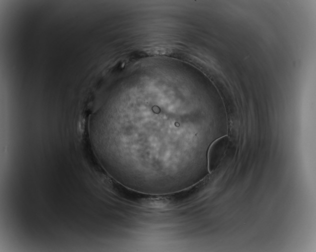 X0000088060652200705251343