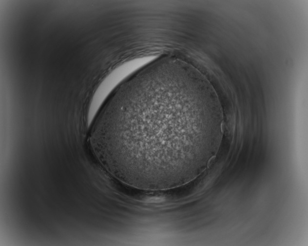 X0000088060653200705251343