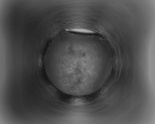 X0000088060655200705251343