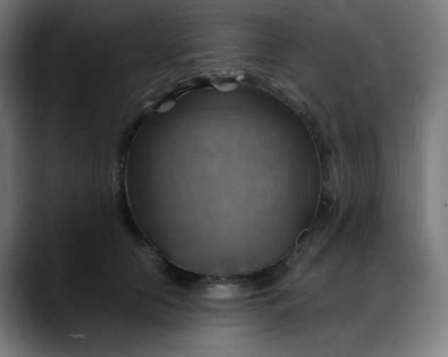 X0000088060658200705251343