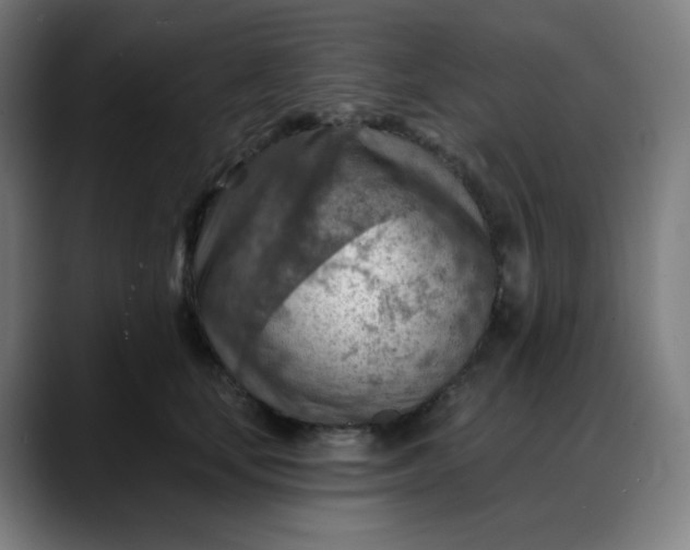 X0000088060659200705251343