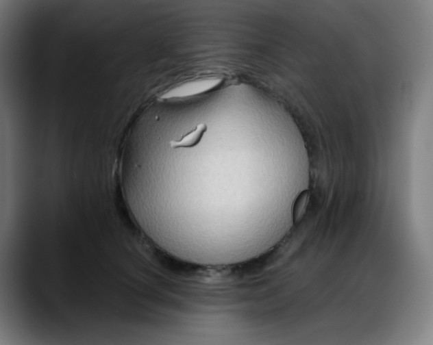 X0000088060660200705251343