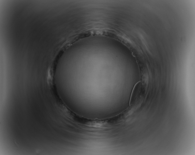 X0000088060661200705251343